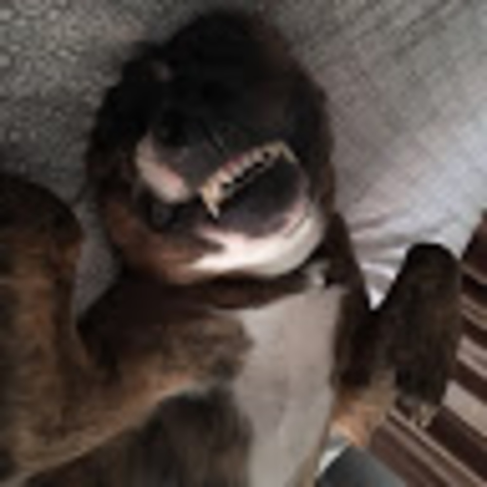 Meet your Posher, Margaret michelle